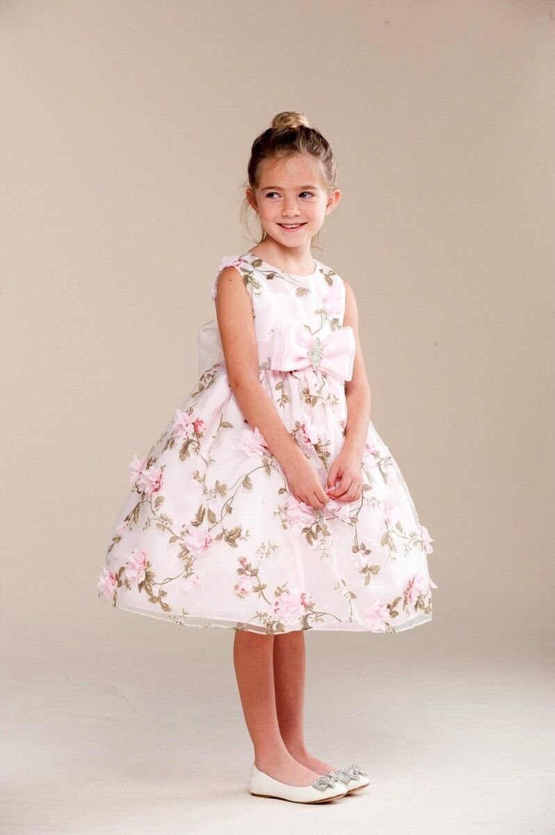 Image 3 of Posh Sweet Pink Floral Embroidered Flower Girl Party Dress, Crayon Kids USA - 4T