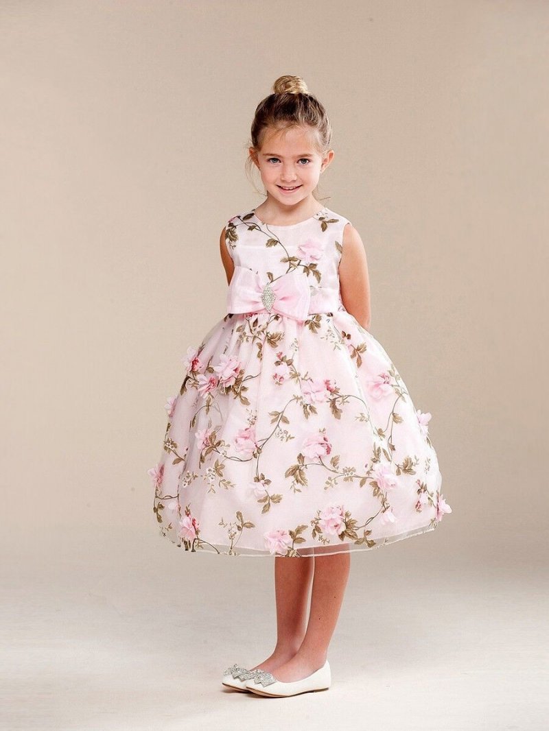 Image 4 of Posh Sweet Pink Floral Embroidered Flower Girl Party Dress, Crayon Kids USA - 4T