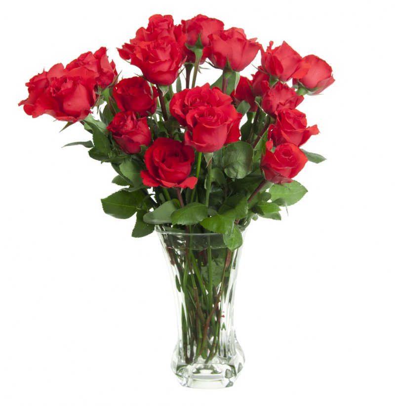 One Dozen Long Stemmed Roses in a Glass Vase