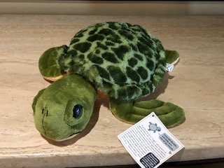 Loggy - Loggerhead Turtle Plush Toy