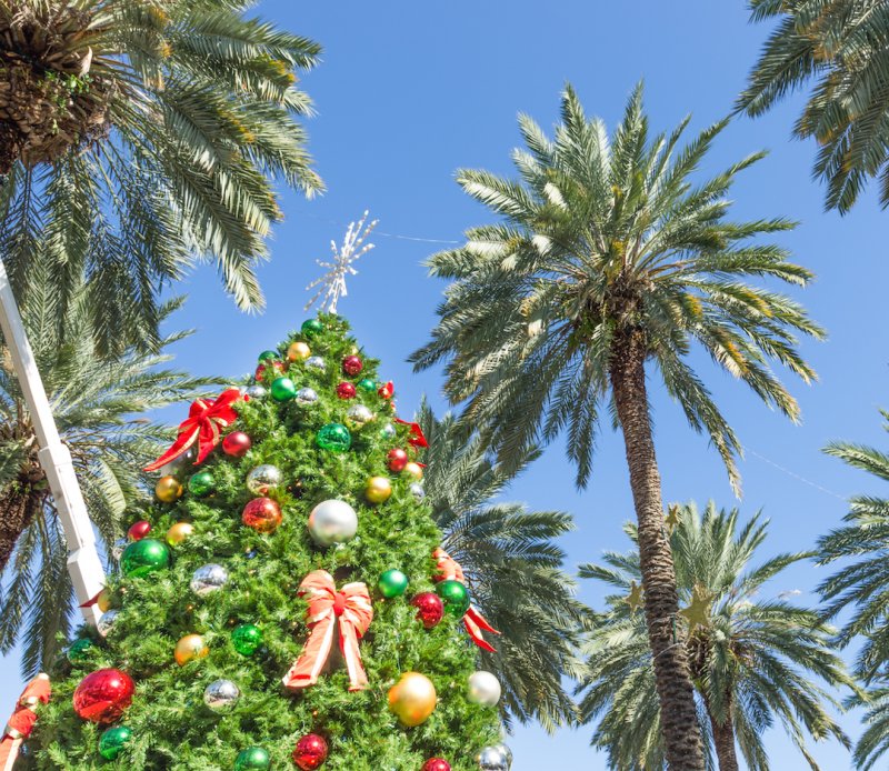 Christmas Tree with Palm Trees