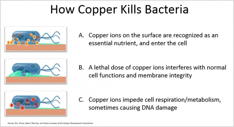 Image 4 of ANTIMICROBIAL ELEVATOR BUTTON COVERS (COPPER INFUSED)