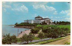 The Shedd Aquarium Chicago Illinois Postcard