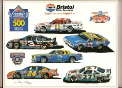 1998 Goody's Headache Powder 500 Nascar Program Mark Martin