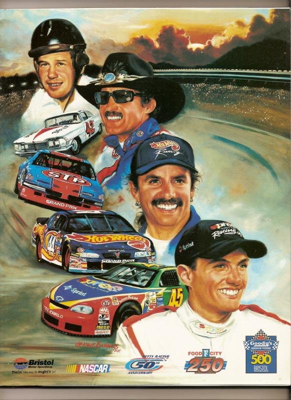 1999 Goody's 500 program Earnhardt #73 Bristol