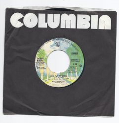 1977 Debbe Boone Hey Everybody / California 7 45 Atlantic Record WBS 8511