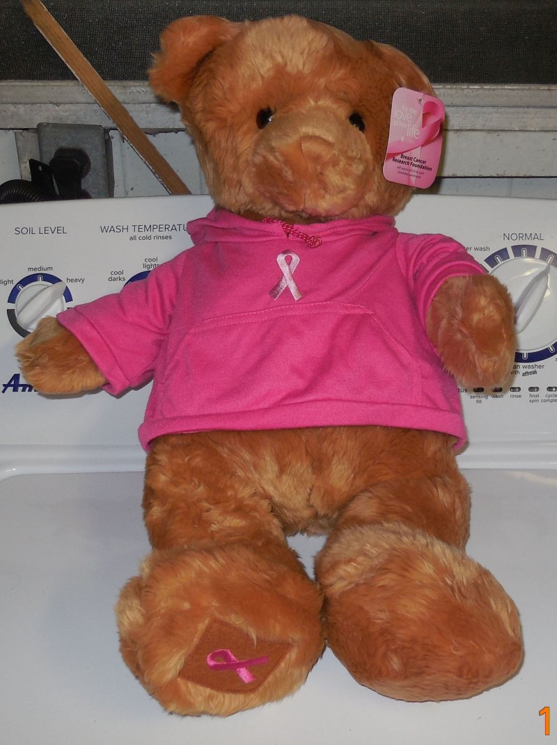 gund peek a boo bear pink