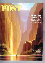 The Saturday Evening Post Magazine March April 2019