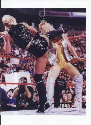 Sable and Luna 8x10 Unsigned Photo Wrestling WWE WWF WCW AWA TNA