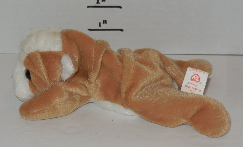 Image 1 of TY Wrinkles Beanie Baby The Bull Dog plush toy