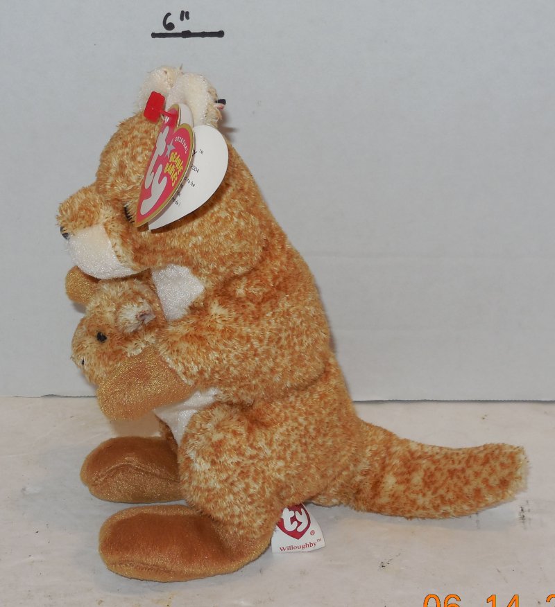 Image 1 of Ty WILLOUGHBY the KANGAROO 6