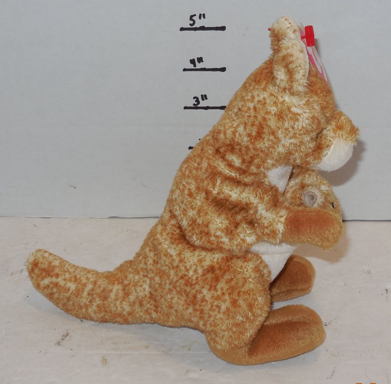 Image 3 of Ty WILLOUGHBY the KANGAROO 6