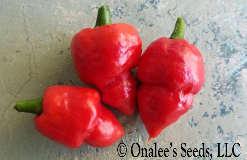 Image 1 of Red Carolina Reaper, Hottest Pepper in the World, Capsicum Seeds 