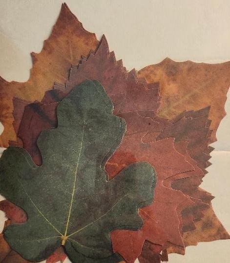 Image 2 of Paper Sisson Imports Crafts Parchment Paper French Fall Autumn Leaves Crafting