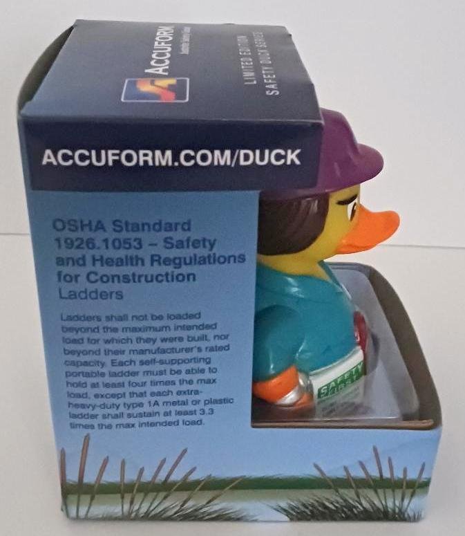 Image 1 of Ladder Lisa Duck Series OSHA Accuform Safety & Regulations on Ladder Compliance