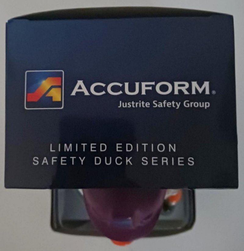 Image 2 of Ladder Lisa Duck Series OSHA Accuform Safety & Regulations on Ladder Compliance