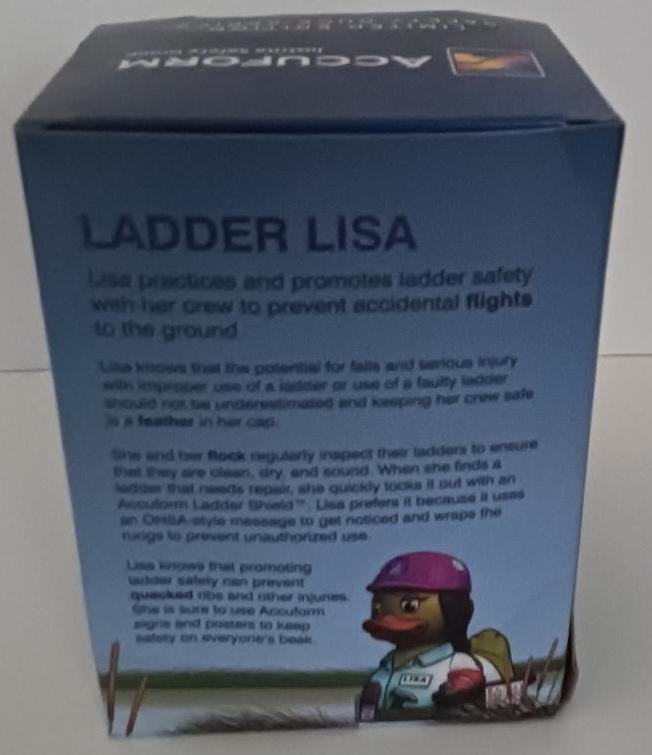 Image 3 of Ladder Lisa Duck Series OSHA Accuform Safety & Regulations on Ladder Compliance