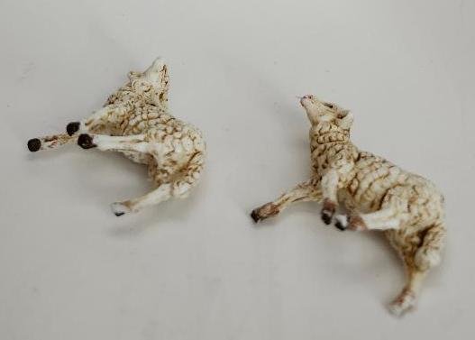 Image 3 of Fontanini Sheep Lamb Lot Made In Italy of Polymer Vintage Nativity Replacement