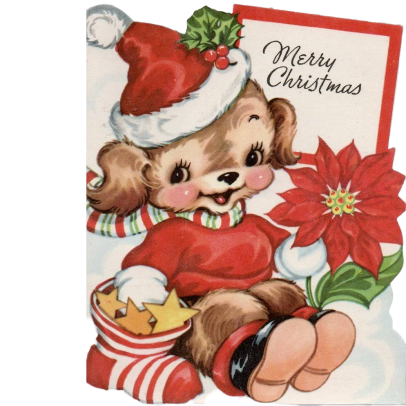 Vintage Puppy Dog Greeting Card Merry Christmas Poinsette Greeting Card