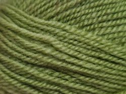 Life DK by Stylecraft Fern Yarn Green Crafting Yarn Wool Acrylic 2311