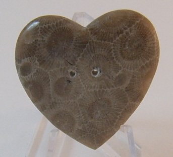 Petoskey stone heart button