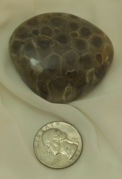 Petoskey stone