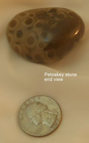 Petoskey stone View 2