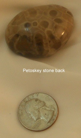 Petoskey stone Back view