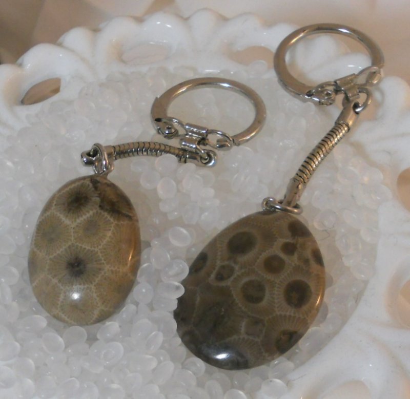  Petoskey Stone Keychain Fossil Michigan 