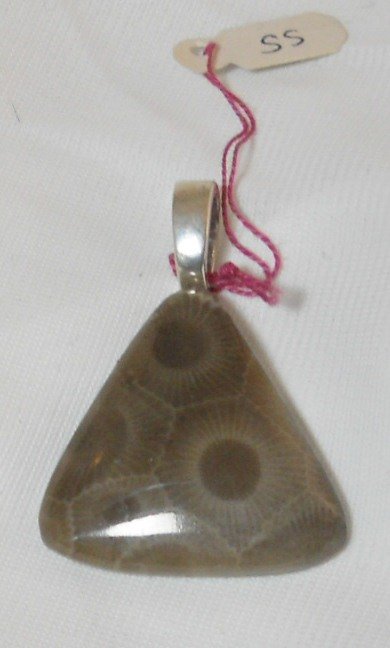 Petoskey stone pendant