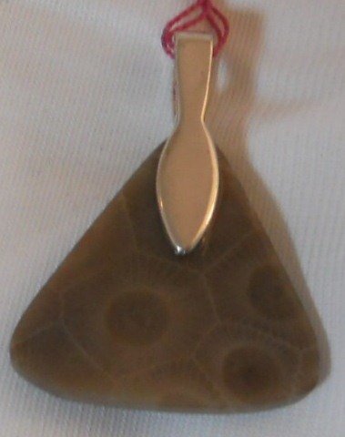 Petoskey stone pendant back