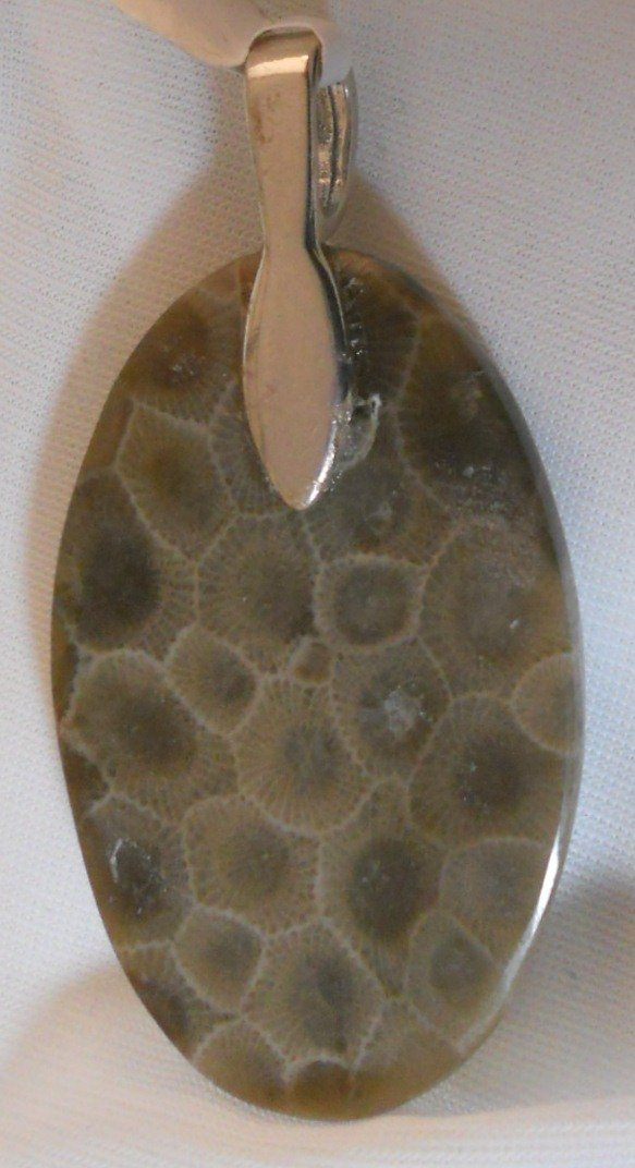 Petoskey stone pendant back