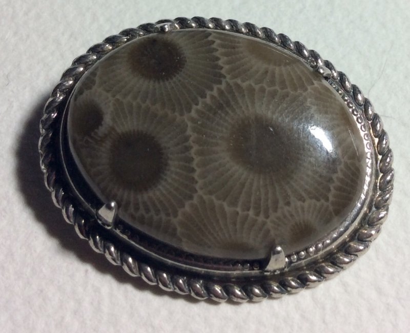 Image 2 of  Petoskey Stone Brooch Fossil Michigan sterling silver
