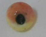 Diminutive Glass Apple button