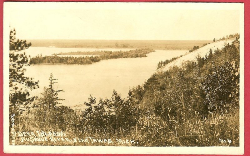 Tawas Mi Deer Island AuSable River RPPC Postcard