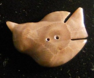 Petoskey stone Bird Button