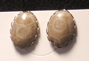 Petoskey stone cuff links