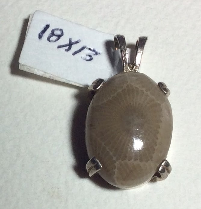 Petoskey stone pendant