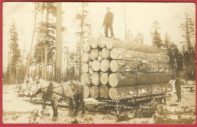 Northern Mi Beebe Postcard Logging Horses Men RPPC BJs