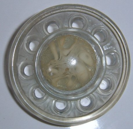 Large Pierce Celluloid Button