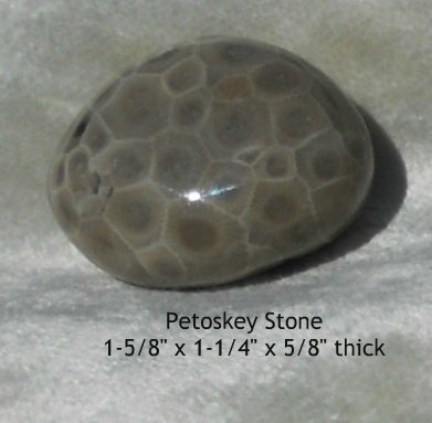  Petoskey Stone Specimen Fossil Coral Michigan Mi BJs No 32