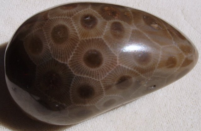Petoskey stone