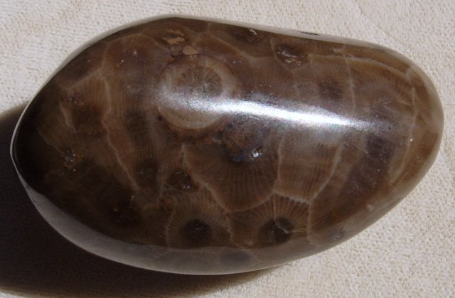 Petoskey stone