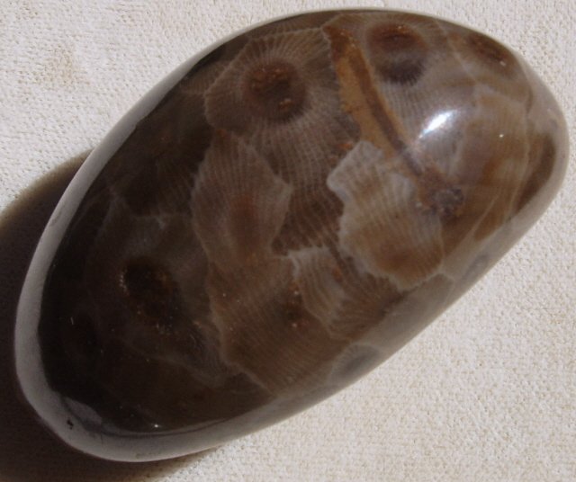 Petoskey stone