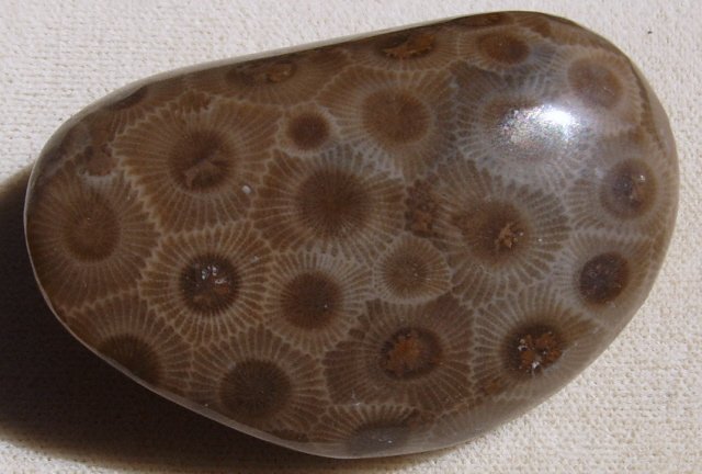 Petoskey stone