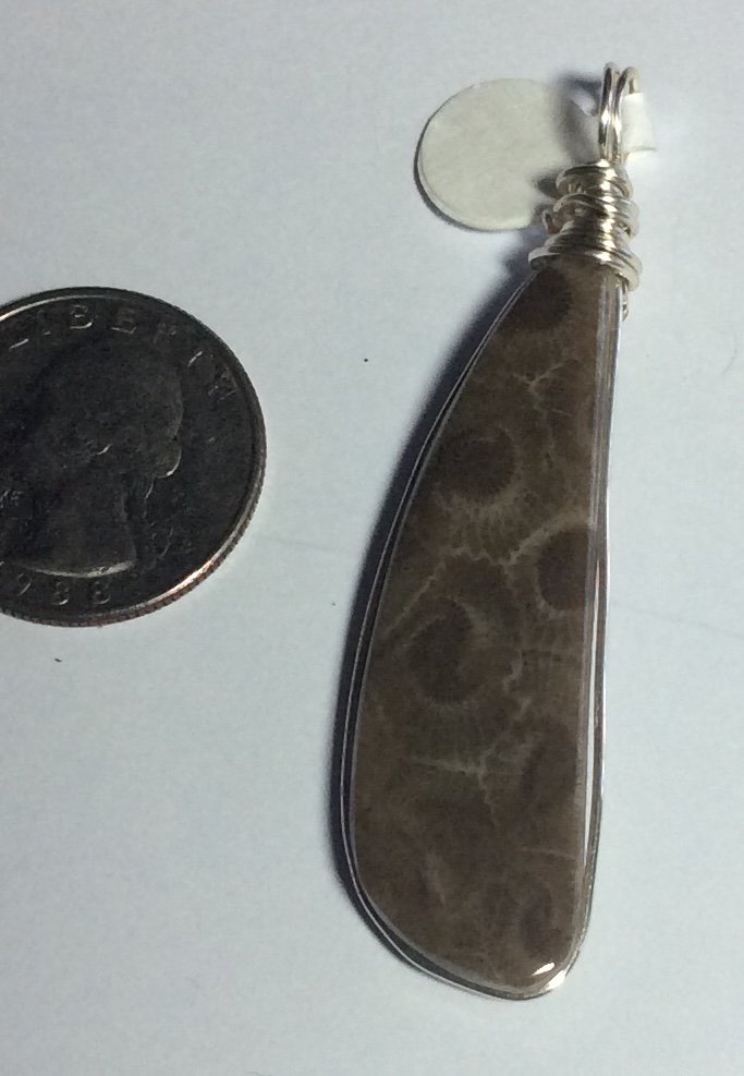 Petoskey stone pendant