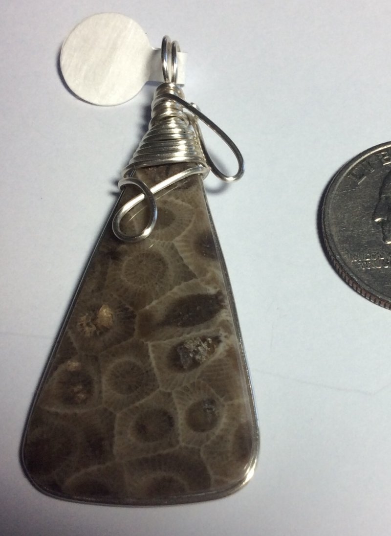 Petoskey stone pendant