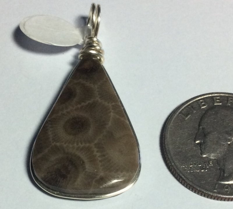 Petoskey stone pendant
