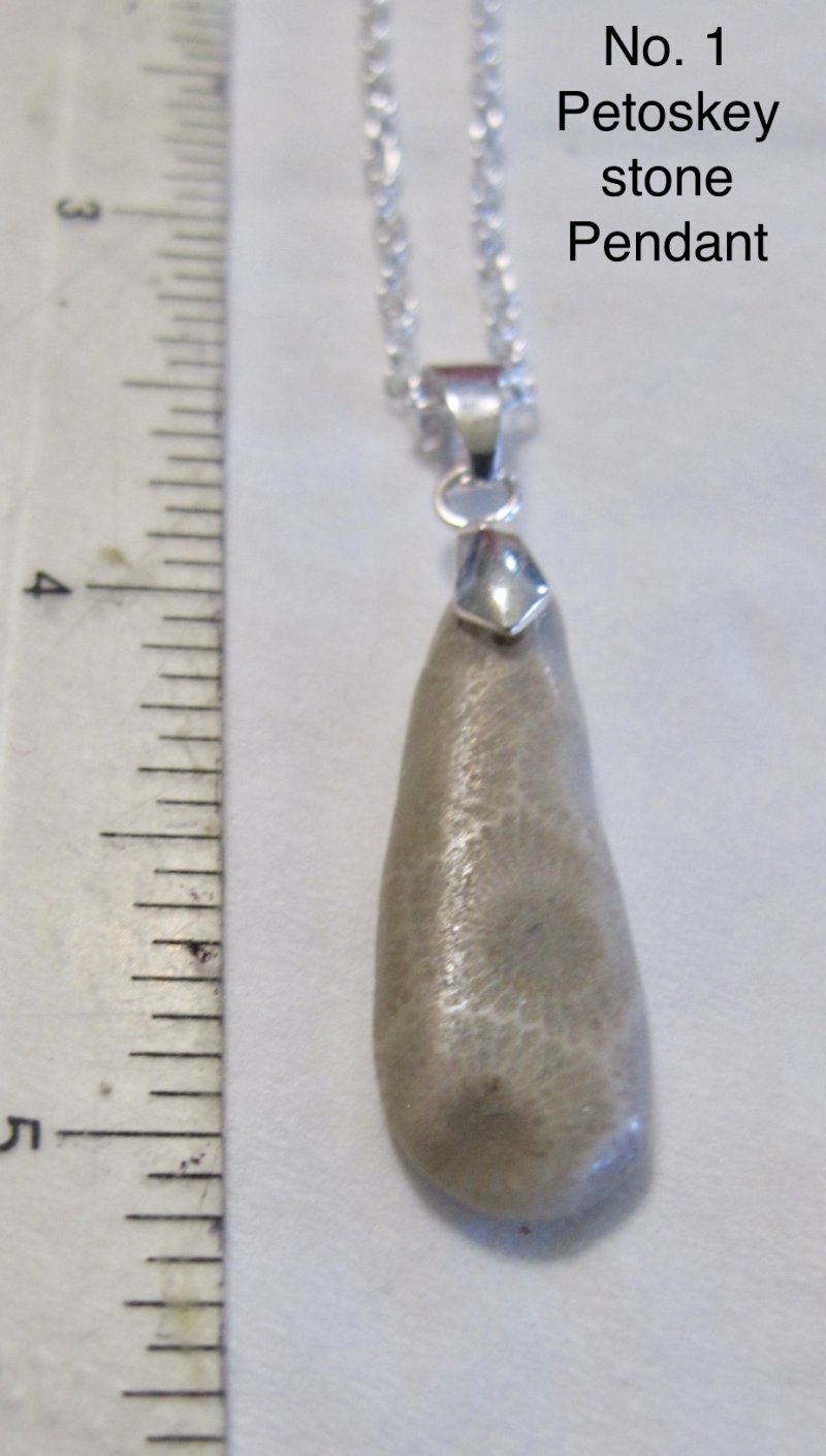  Petoskey Stone Teardrop Pendant Fossil Michigan No 1