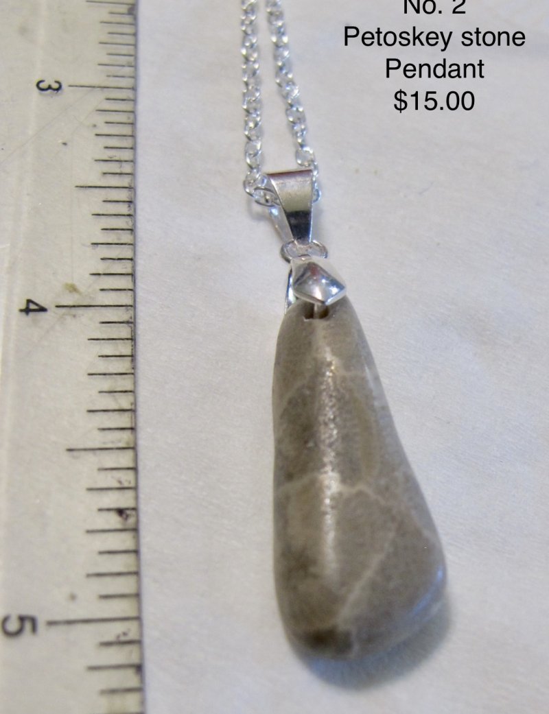  Petoskey Stone Teardrop Pendant Fossil Michigan No 2